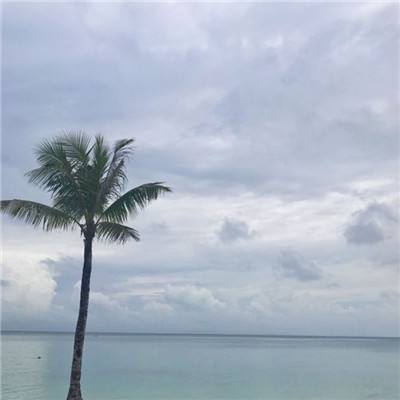 执剑之刻九游官方下载